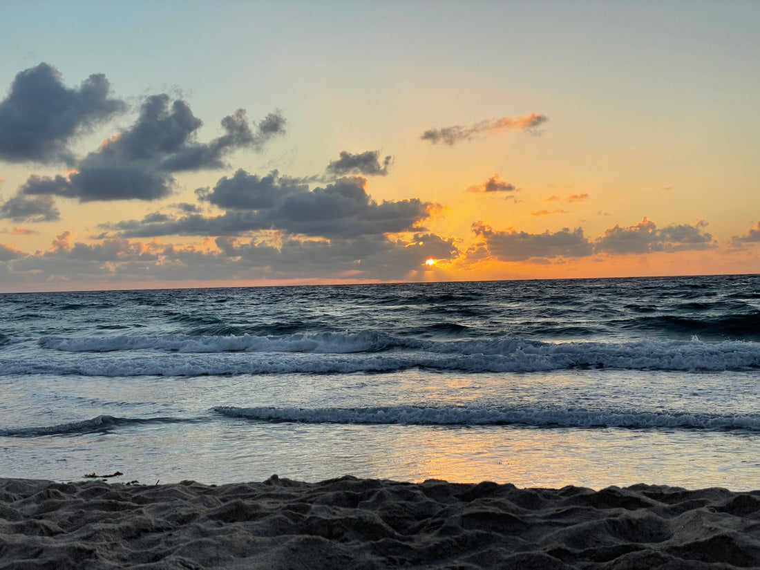 Keep It Clean! March 2025 beach cleanup